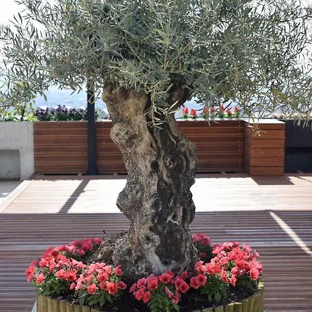Hotel Chateau Linza