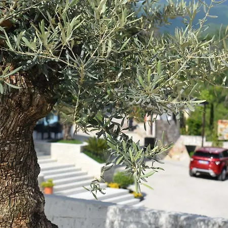 Chateau Linza Hotel Tirana
